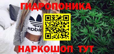 бошки Аша