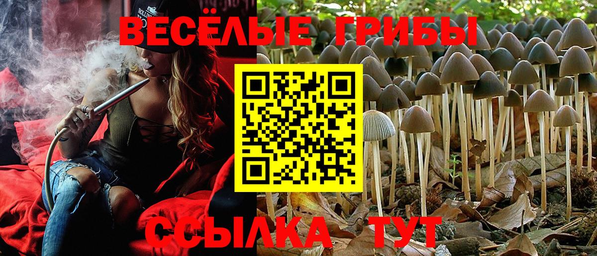 Галлюциногенные грибы Psilocybine cubensis Гагарин