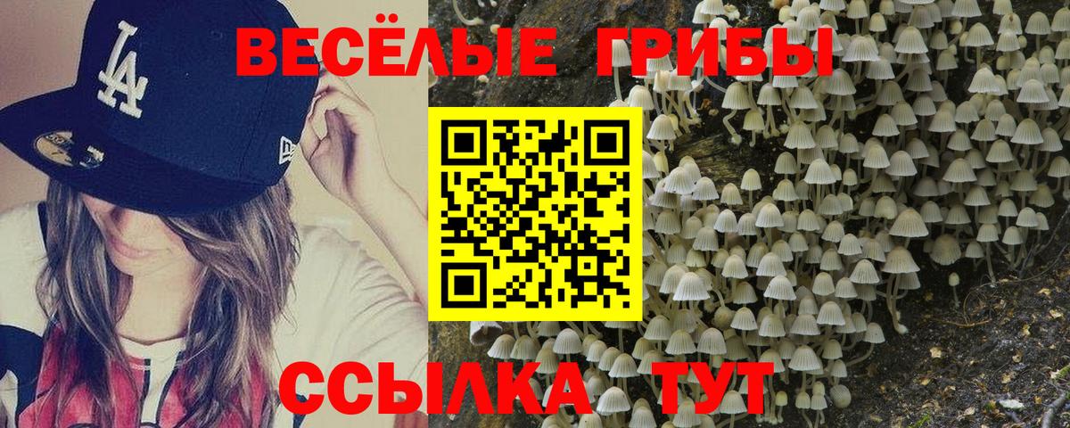 Галлюциногенные грибы прущие грибы  наркотики  Гагарин  Вход с VPN 